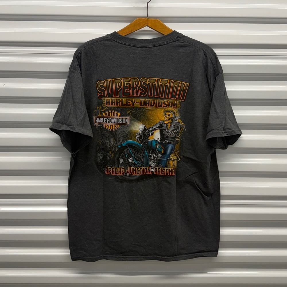 Vintage Harley Davidson Skull Biker Arizona Gray Mens XL Shirt